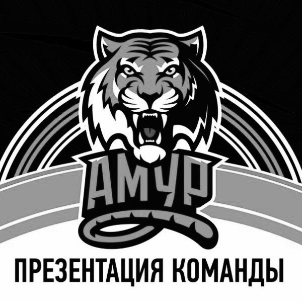 Эмблема хк Амур Хабаровск