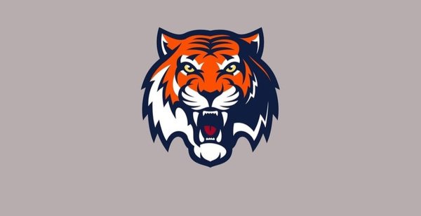 Логотип хоккейной команды Амур