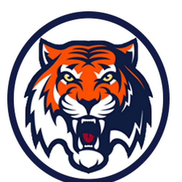 Эмблема хк Амур Хабаровск