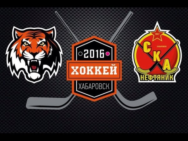 Хоккейная команда Амур