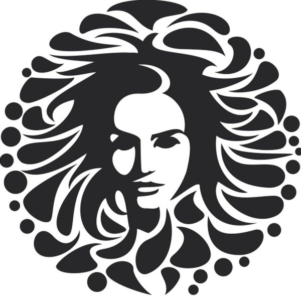 Силуэт женского лица