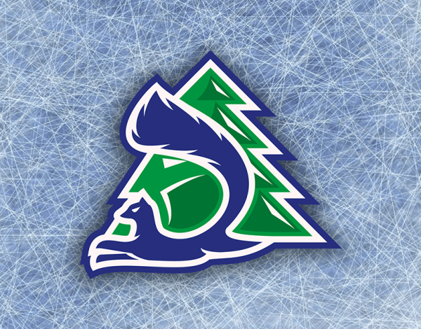 Эмблема хк Салават Юлаев новая