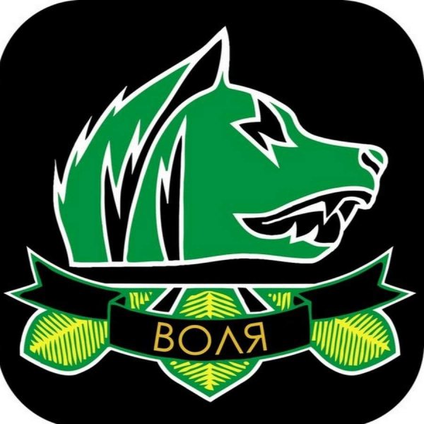 Свобода сталкер