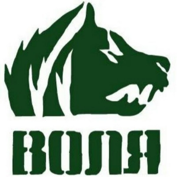 Свобода сталкер эмблема