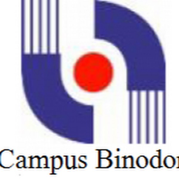 Институт ММУ эмблема