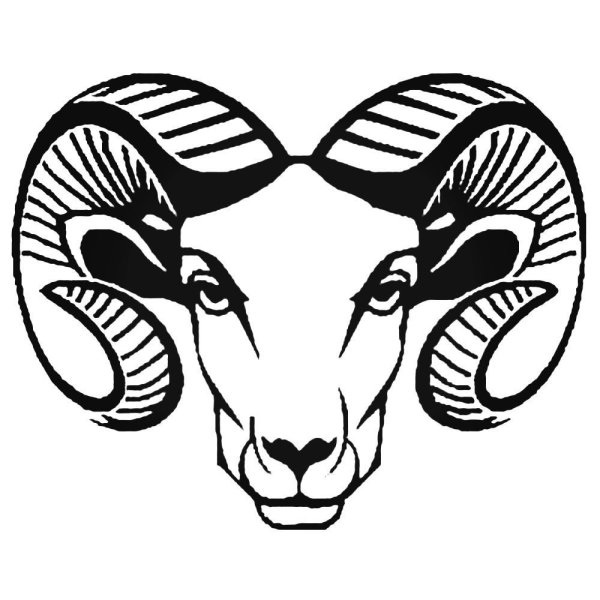 Баран Графика