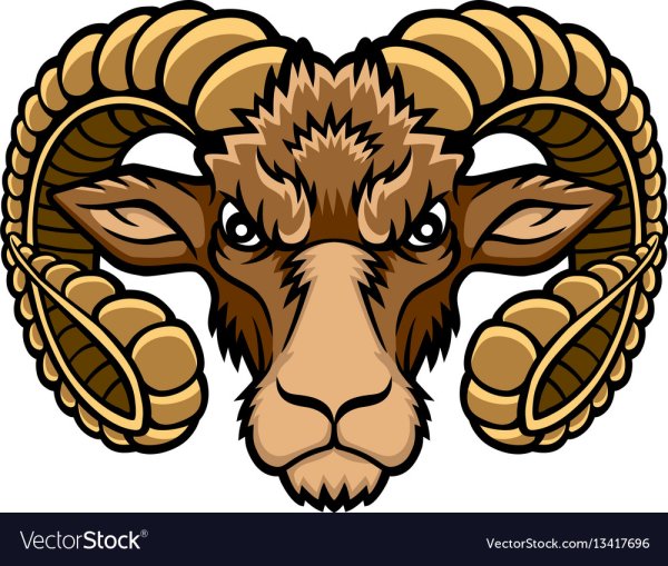 Голова овна вектор
