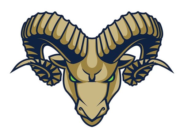 Голова барана арт