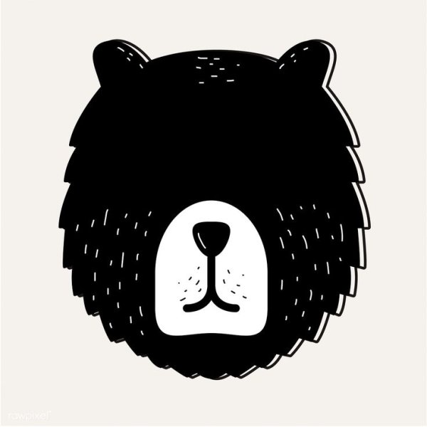 Голова медведя