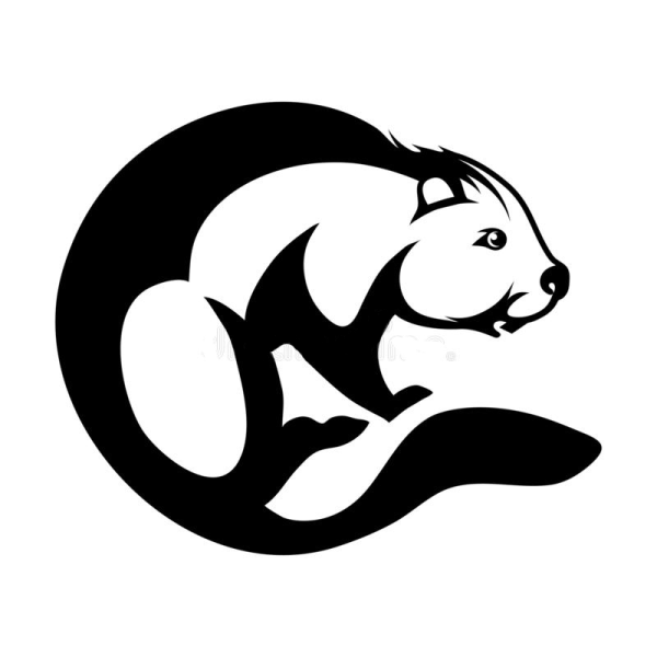 Бобер вектор