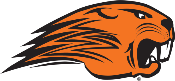 Хк бобры логотип