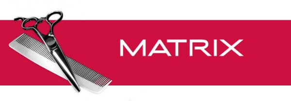 Prosto Matrix логотип