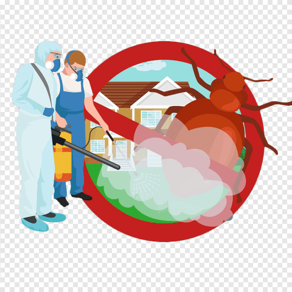 Логотип насекомые