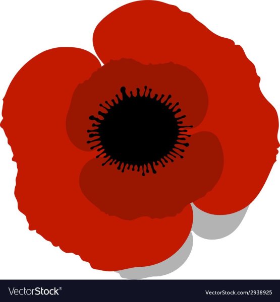 Цветок красного мака символ
