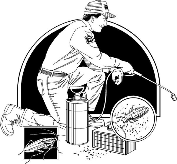 Дезинсекция логотип