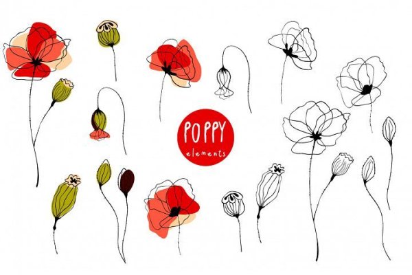 Мак цветок эмблема