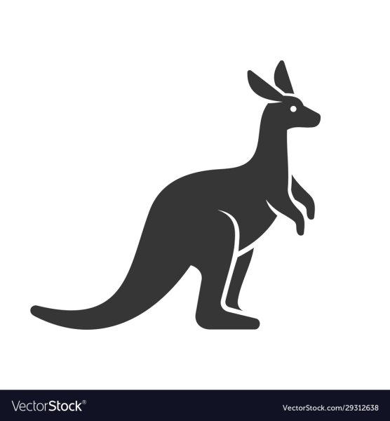 Обувь с эмблемой кенгуру