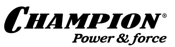 Champion надпись