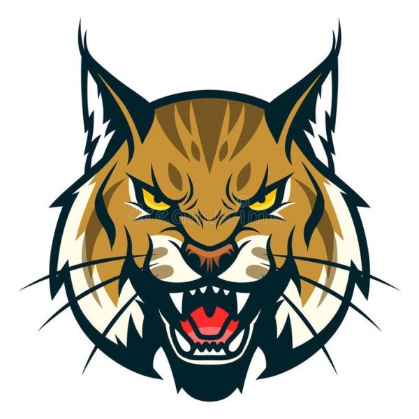 Рысь морда вектор