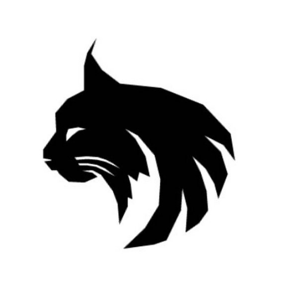 Рысь силуэт