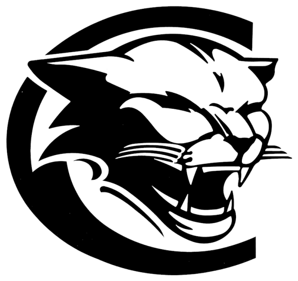 Наклейка Рысь