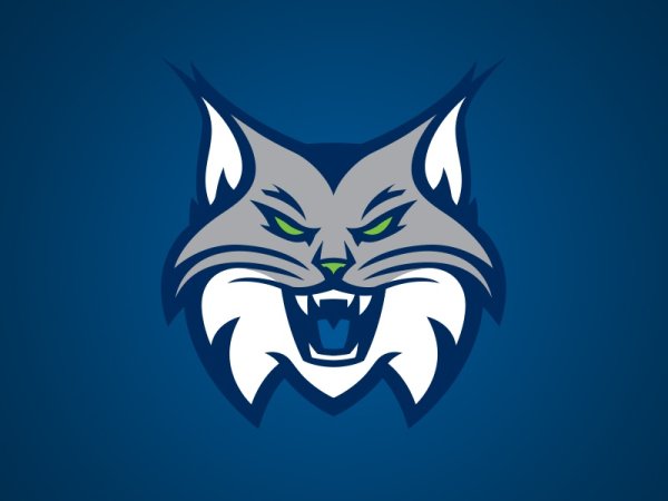 Миннесота Линкс