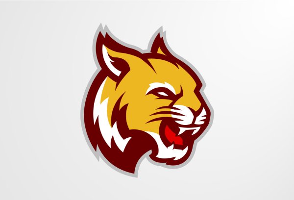 Логотип рыси хк