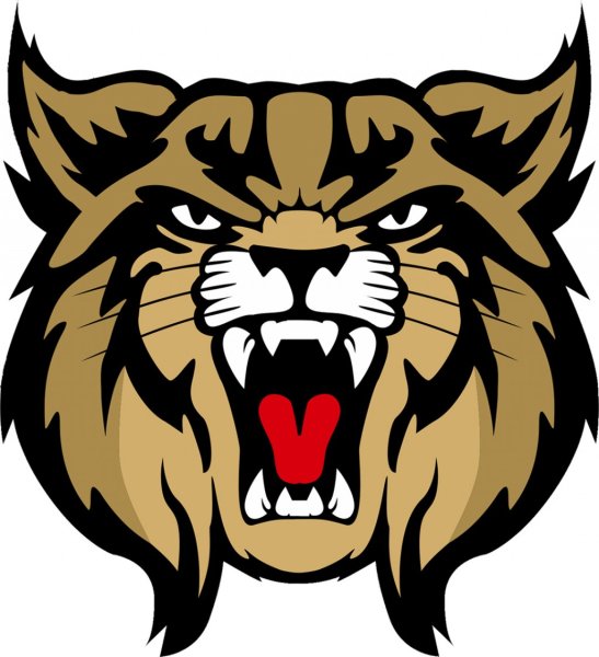 Рысь логотип