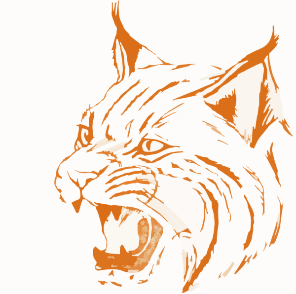 Рысь Векторная