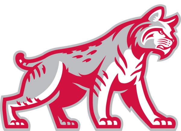 Рысь вектор