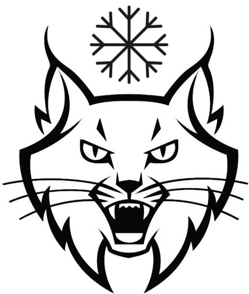 Рысь векторный рисунок