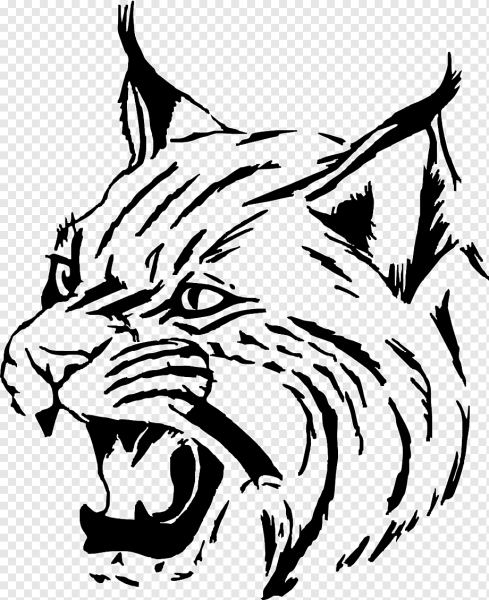 Векторные рисунки