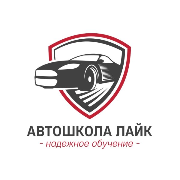 Школа вождения логотип