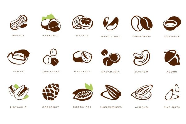 Макадамия лого