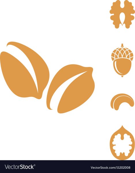 Factory Dry Fruit icon