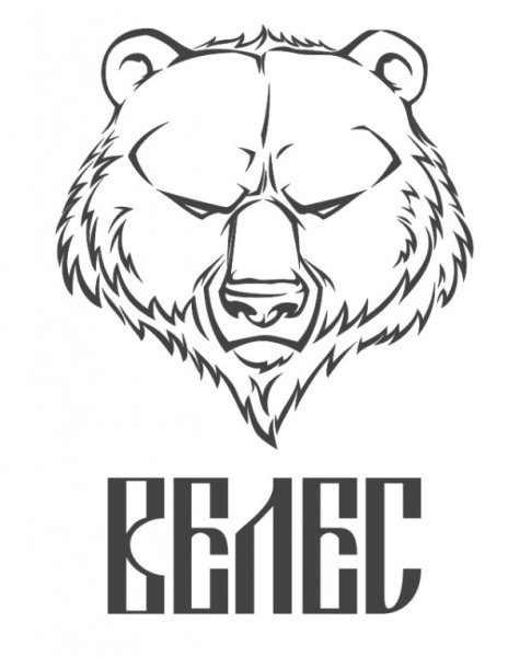 Медведь Велес эскиз