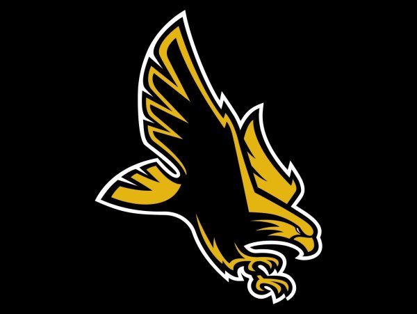 Логотип желтый Орел