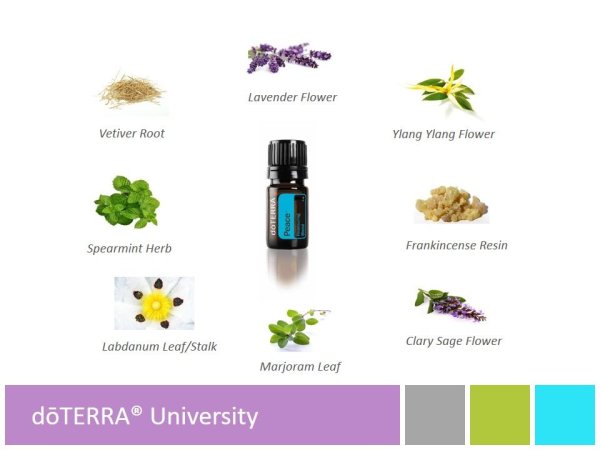 Смесь Peace ДОТЕРРА