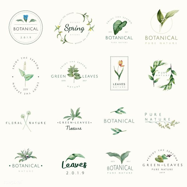 Логотип с цветами