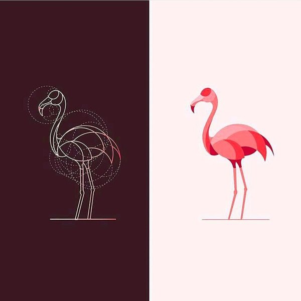 Розовый Фламинго логотип