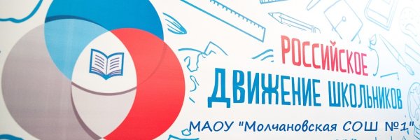 Российское движение школьников