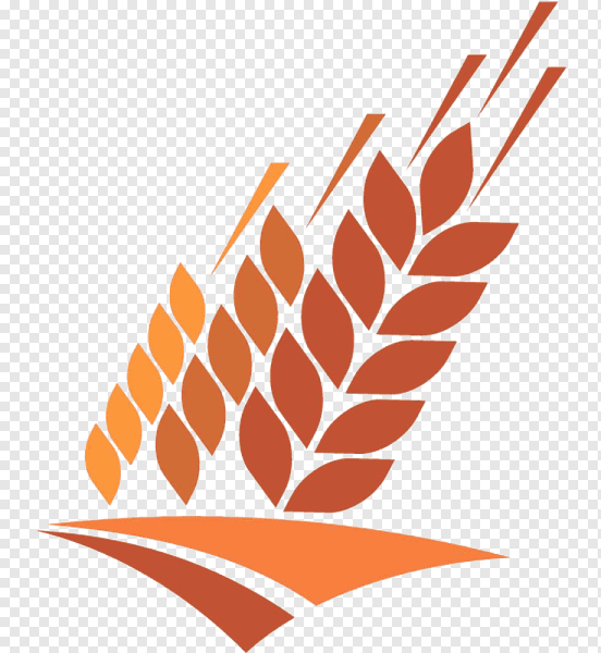 Зерновые колоски для логотипа предприятия