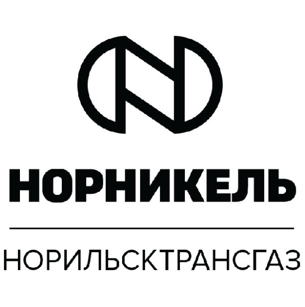 Норильский никель logo