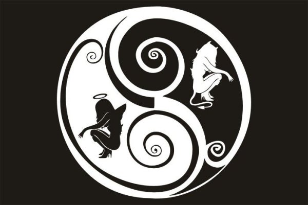 Инь Янь черно белое