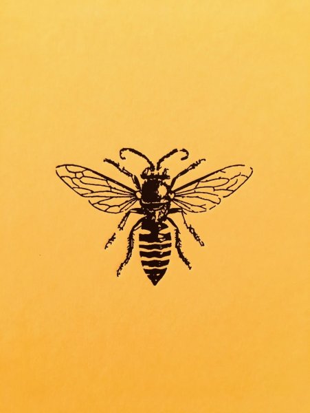 Эстетика Пчёлки