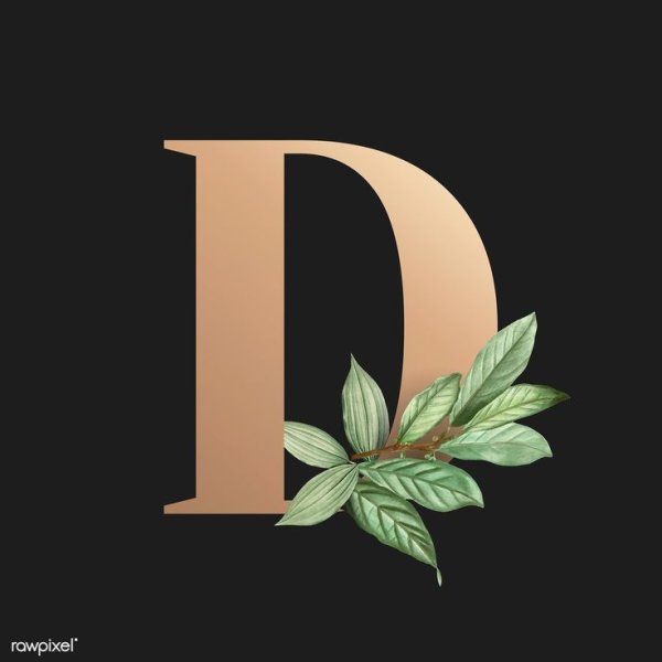 Красивая буква d