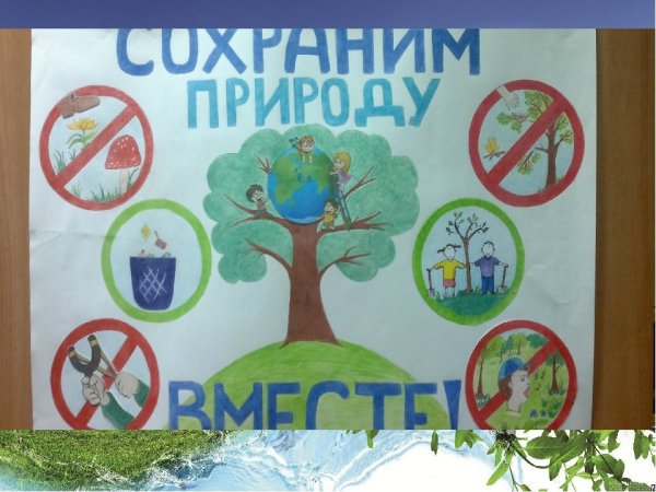 Плакат на тему защита природы
