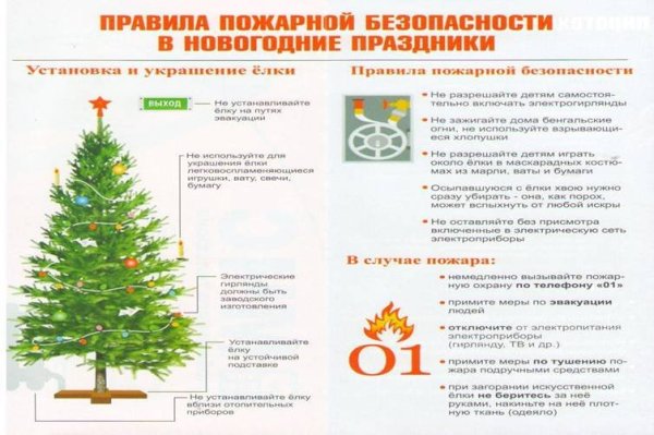 Пожарная безопасность в новогодние праздники