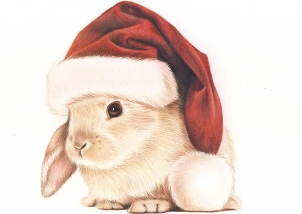 Новогодние персонажи