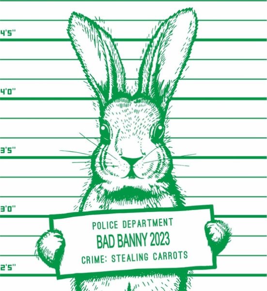 Стенгазета на новый год